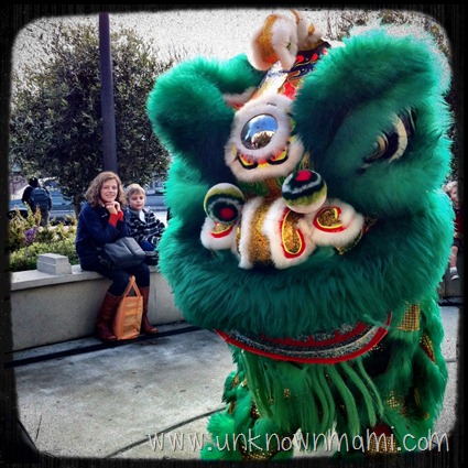 Chinese Dragon Dancers