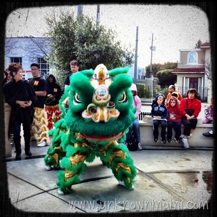 Chinese New Year Dragon