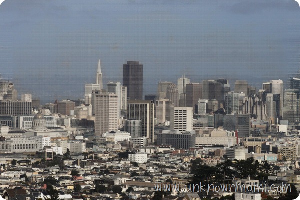 Beautiful-San-Francisco-View