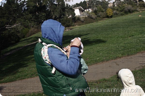 In-the-park In-the-park