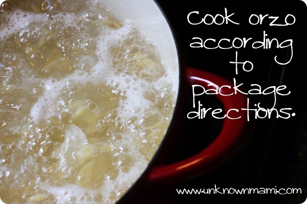 Orzo-boiling-in-pot