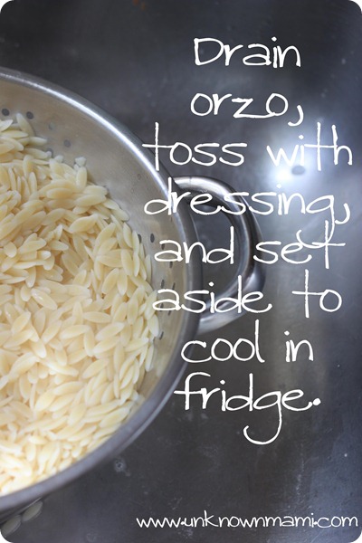 Orzo-in-collander