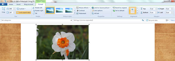 Watermark-in-Windows-Live-Writer