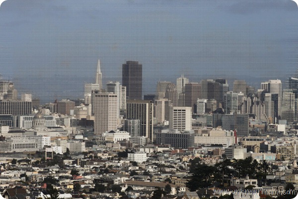 Beautiful-San-Francisco-View