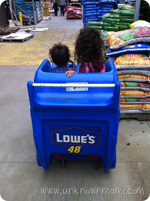 Lowe's-Shopping-Cart