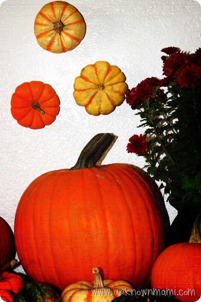 Autumn Decor