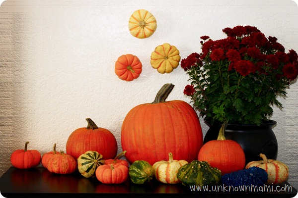 DIY-Fall-Decorations