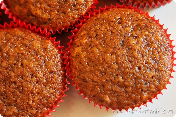 Oatmeal-chocolate-muffins