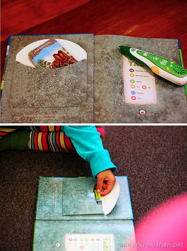 Playing-Cards-for-Leap-and-the-Lost-Dinosaur Tag Book