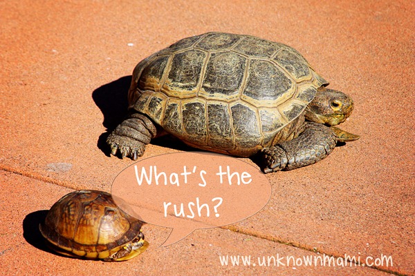What's the rush? 