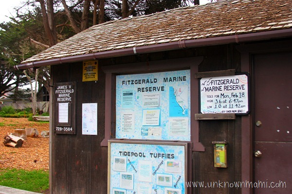 Fitzgerald-Marine-Reserve