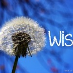 Wish!