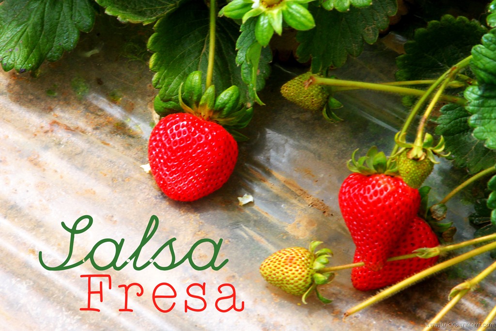 Salsa Fresa: Strawberry, Avocado, and Grilled Corn Salsa