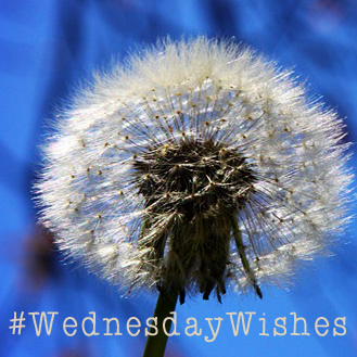 WednesdayWishes